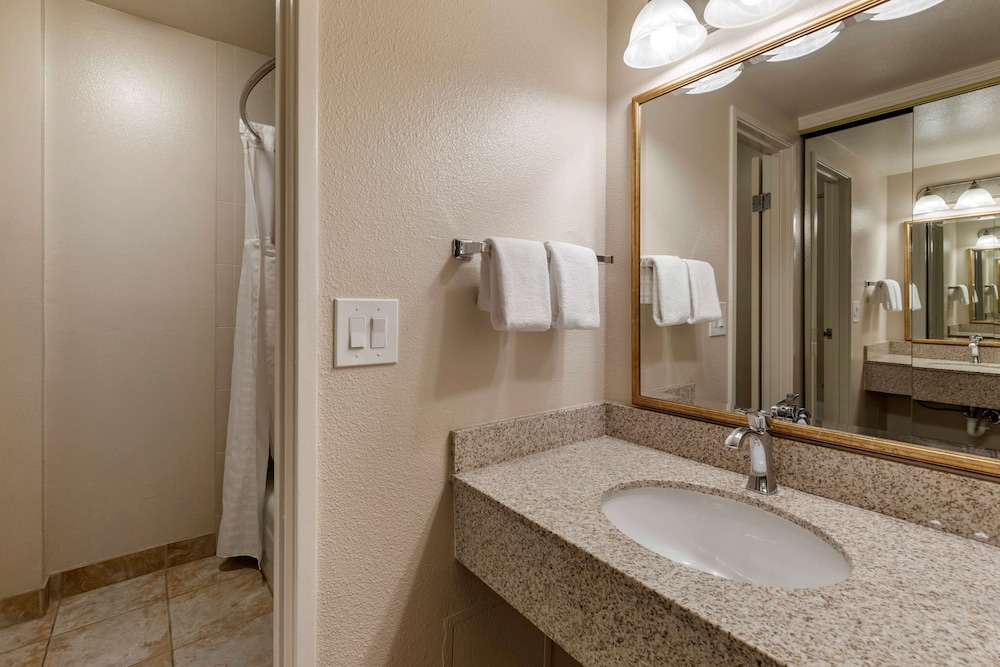 Best Western Plus Royal Oak Hotel - photo 21