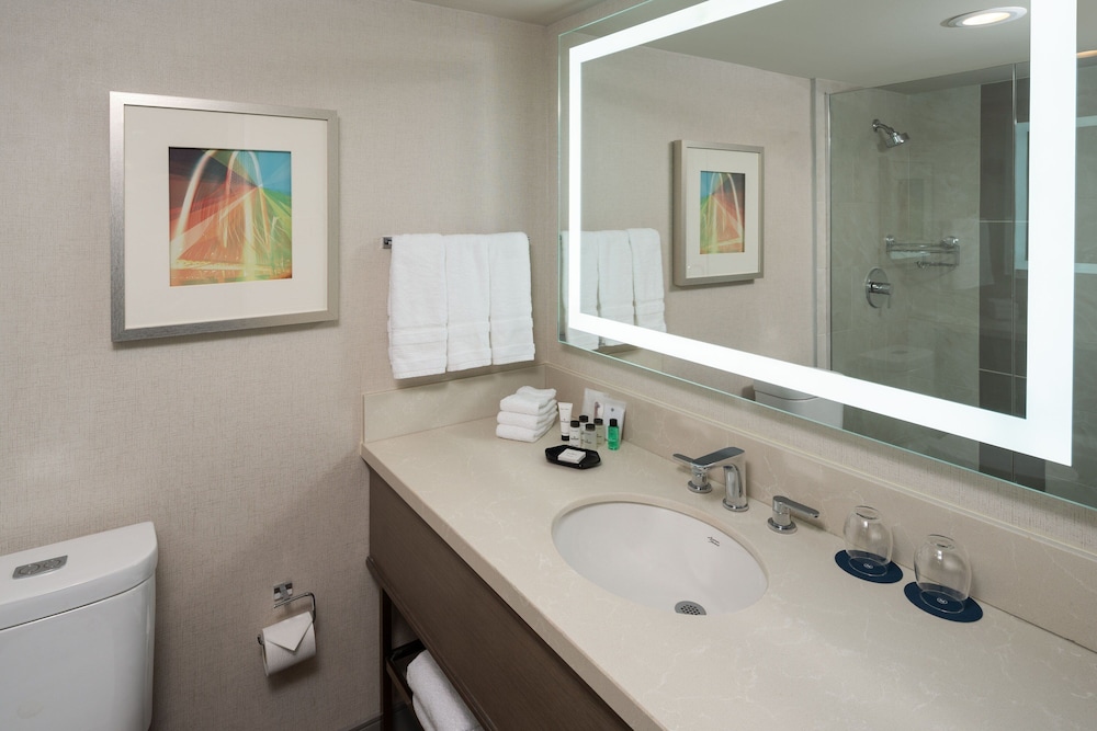 Sheraton Dallas Hotel by the Galleria - photo 17
