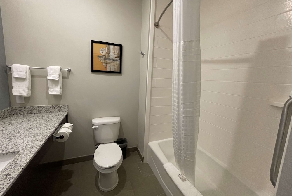 Hawthorn Extended Stay by Wyndham Sulphur - photo 16