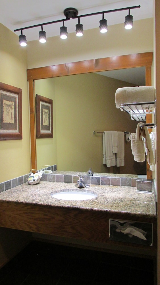 Spearfish Canyon Lodge - photo 34