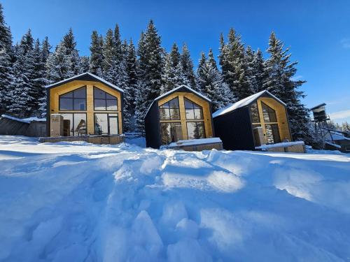 ToodoResort — 4-Star Luxury Hotel in Karakol, Kyrgyzstan