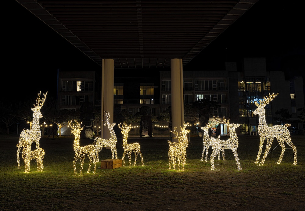 Phoenix Island — Seogwipo — photo 3