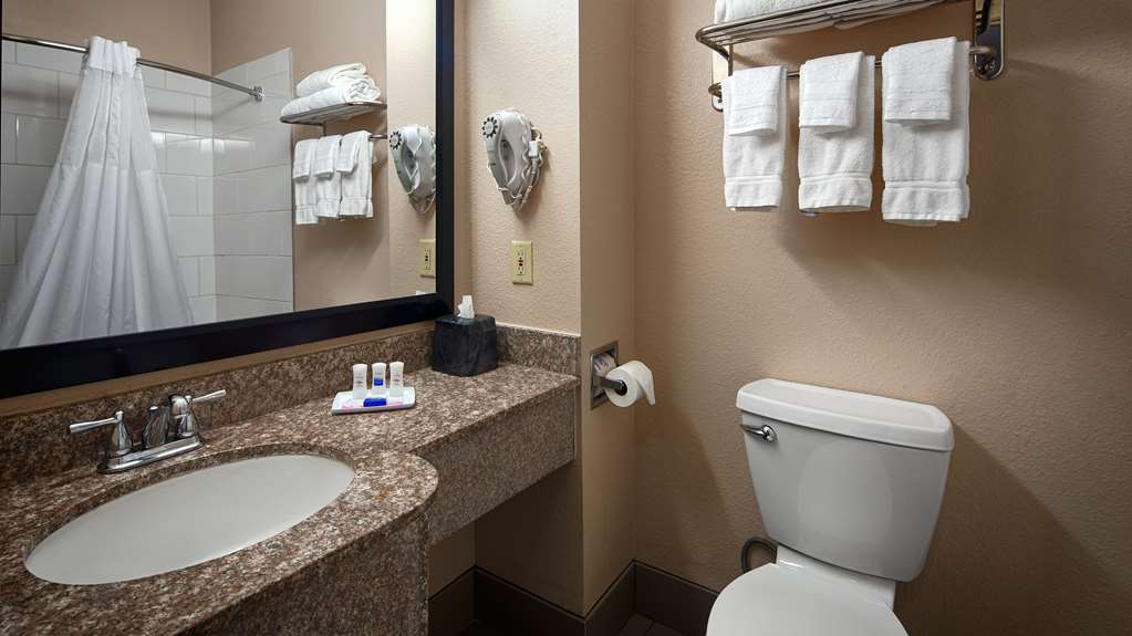 Best Western Plus Kalamazoo Suites - photo 16