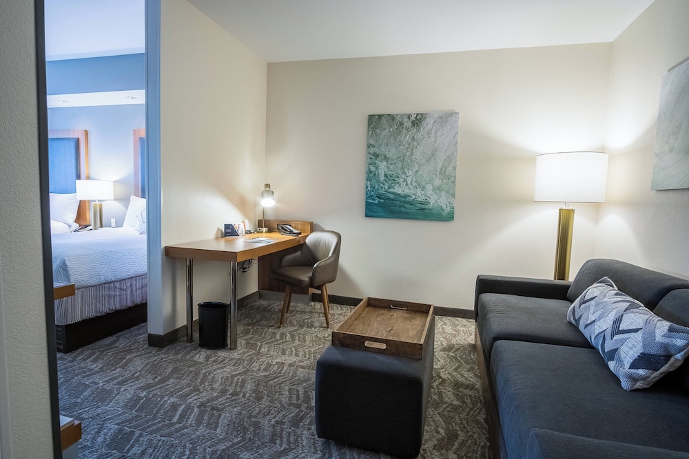 Springhill Suites by Marriott Winston Salem Hanes Mall - photo 6