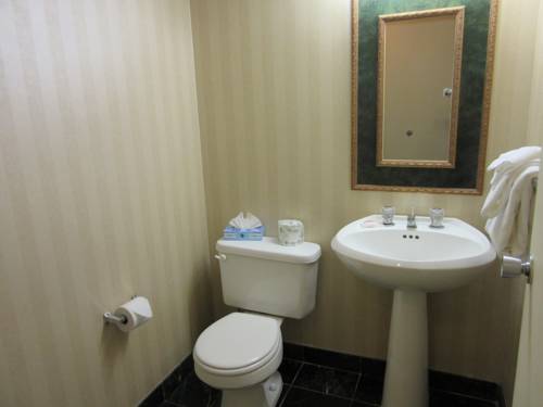 Atrium Hotel and Conference Center - photo 8