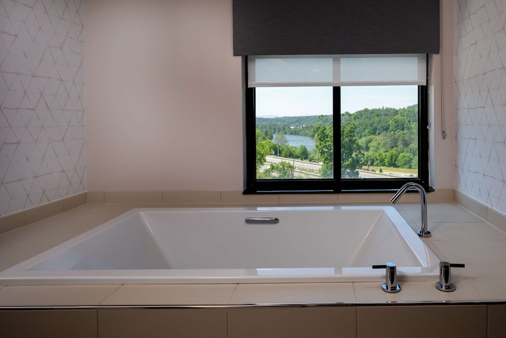 Hilton Asheville Biltmore Park - photo 40