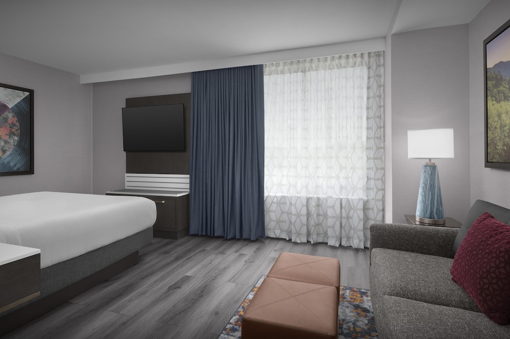 Embassy Suites by Hilton Pigeon Forge Resort - photo 16