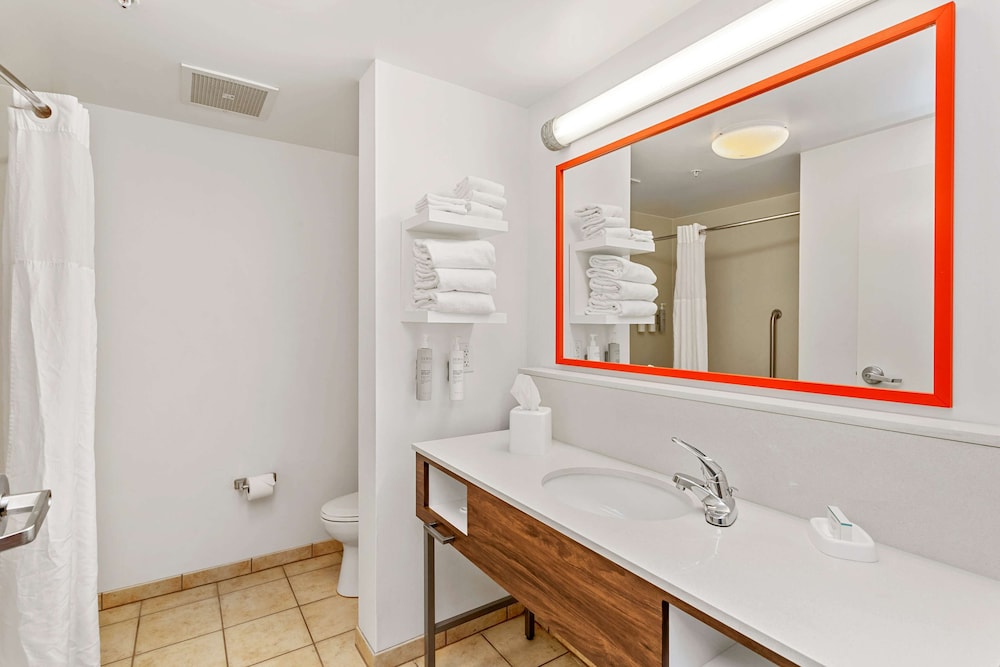 Hampton Inn & Suites Orlando Apopka - photo 52