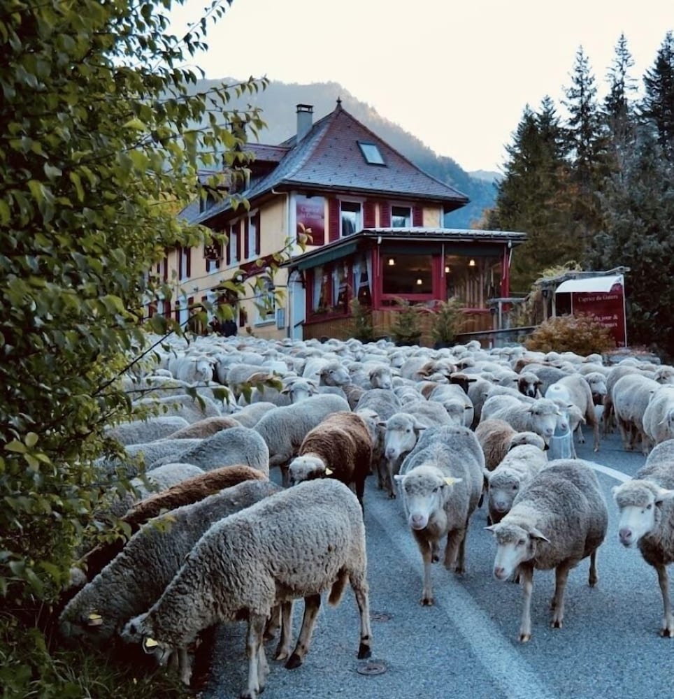 Ô Caprice du Guiers in Grenoble, France