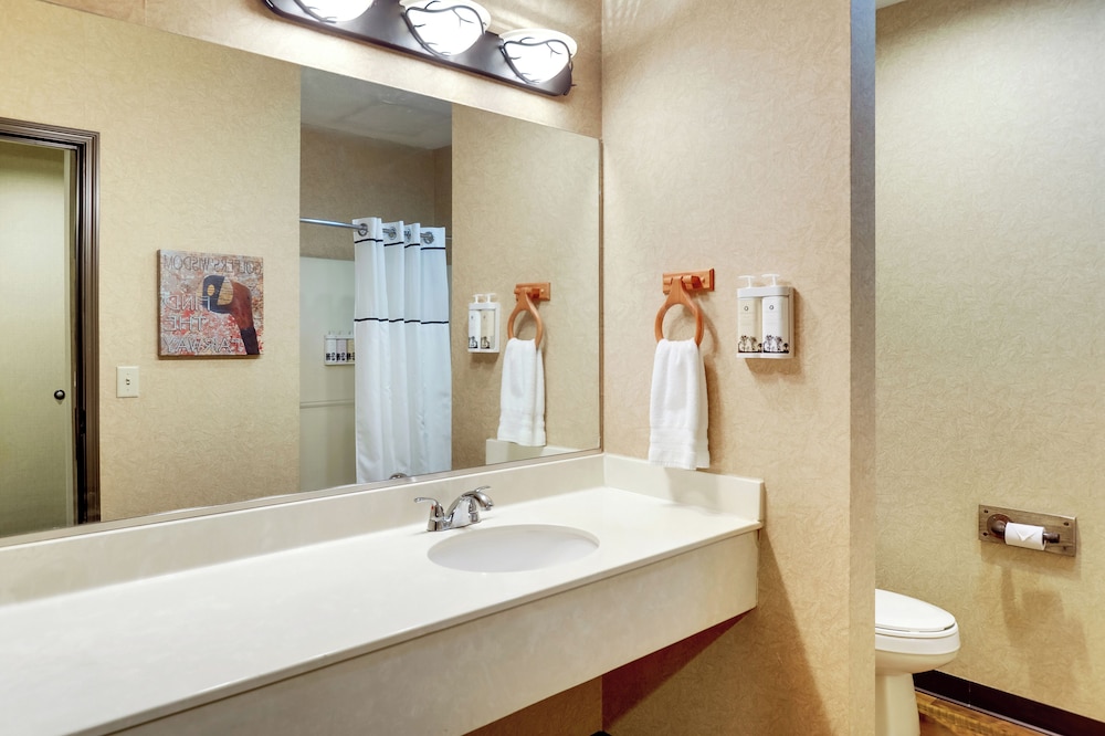 Stoney Creek Hotel La Crosse Onalaska - photo 26