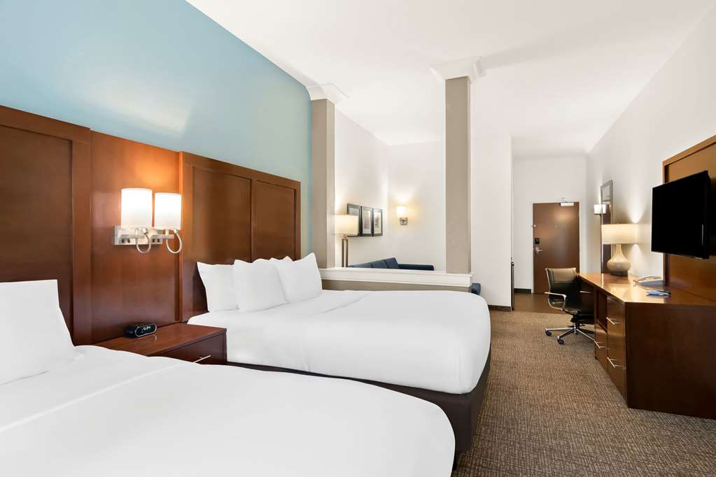 Comfort Suites Rensselaer near Fair Oaks - photo 30