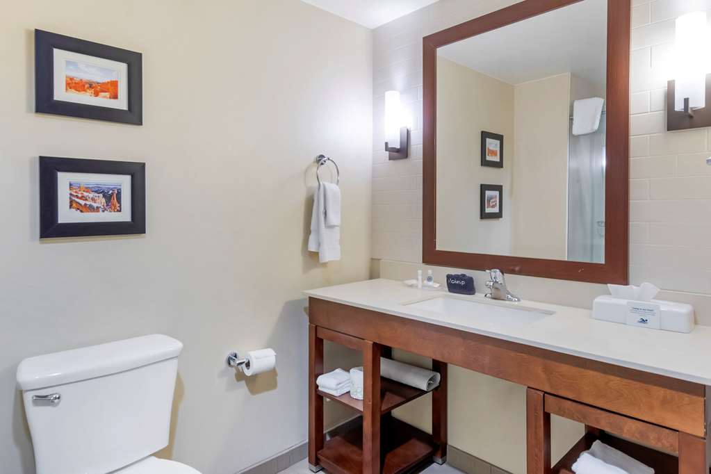 Comfort Suites St George University Area - photo 20