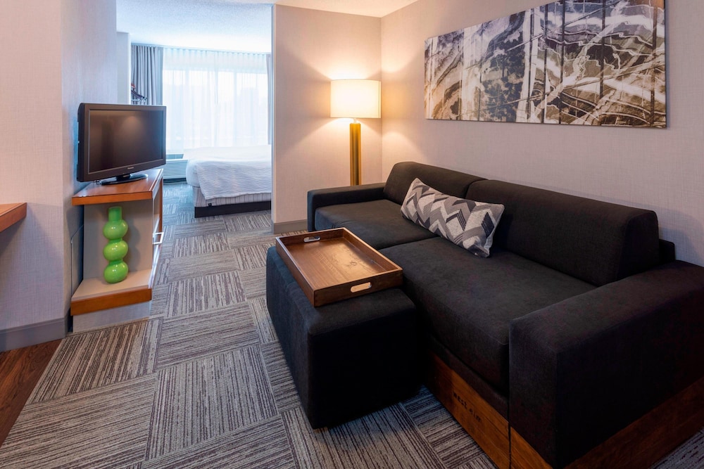 Springhill Suites By Marriott Rochester Mayo Clinic St Marys — Rochester