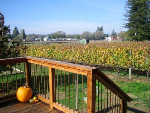Pearlessence Vineyard Inn - photo 11