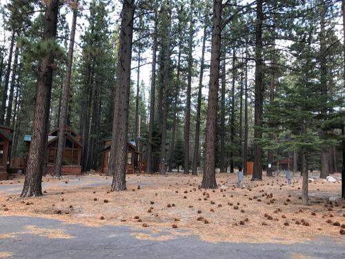 Cedar Pines Resort - photo 48