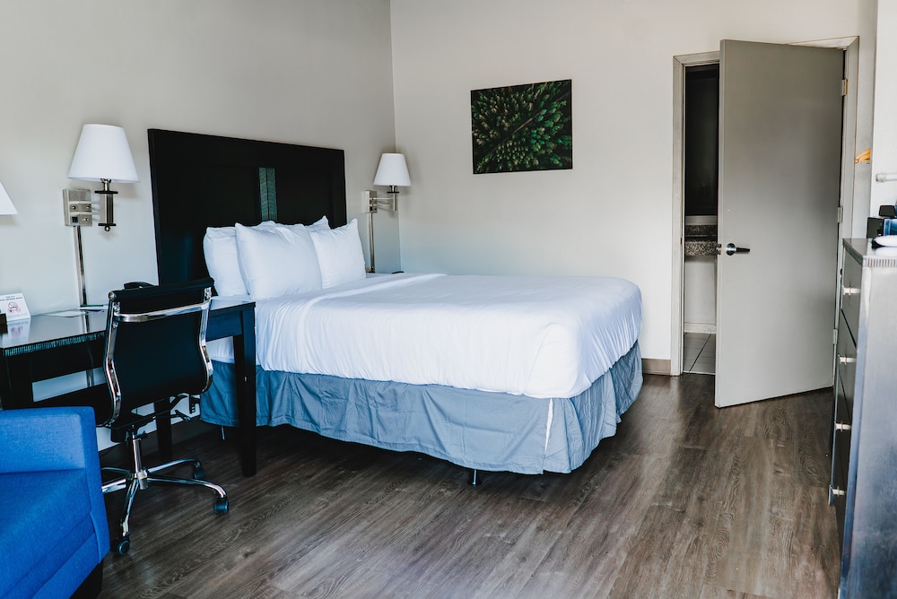 Quality Inn & Suites Monticello - photo 14