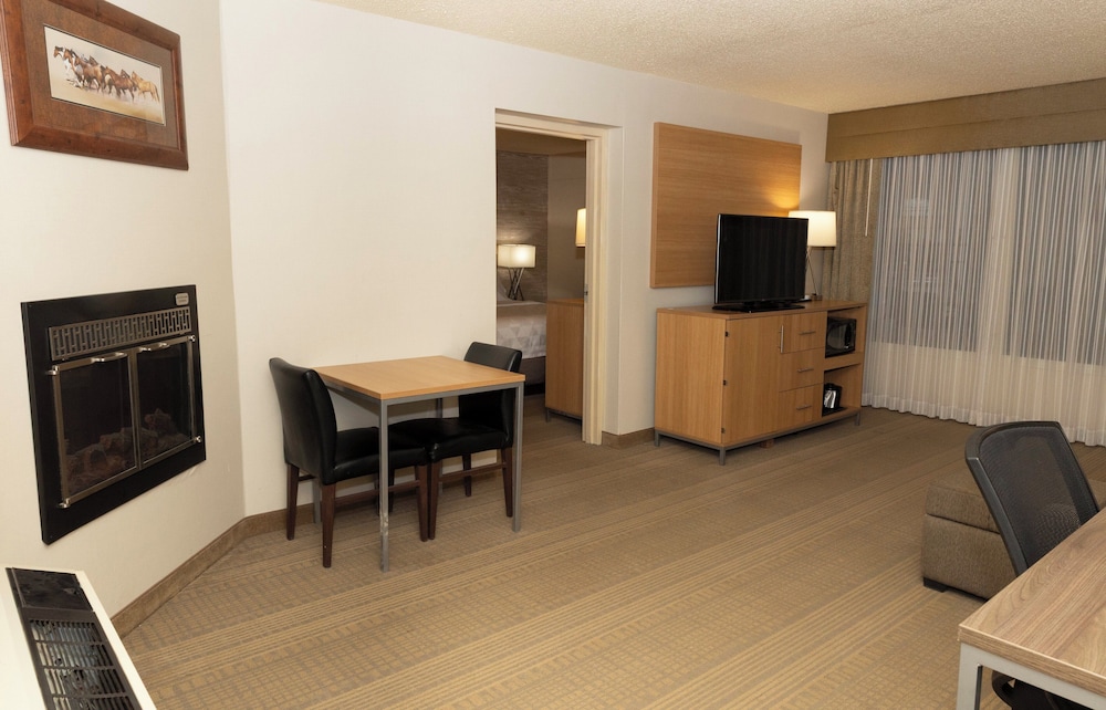 Holiday Inn Spearfish Convention Center by IHG - photo 19