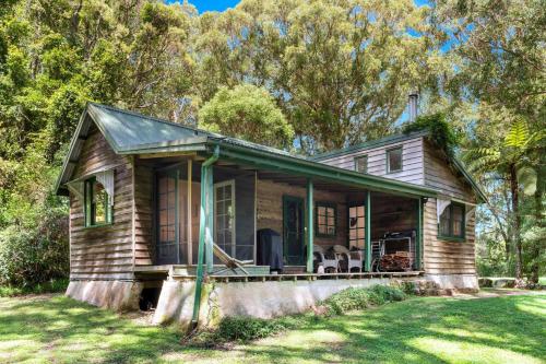 The Fernery At Red Dog Retreat — Beaumont