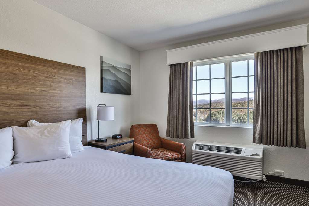 Best Western Mountain View Inn - photo 7