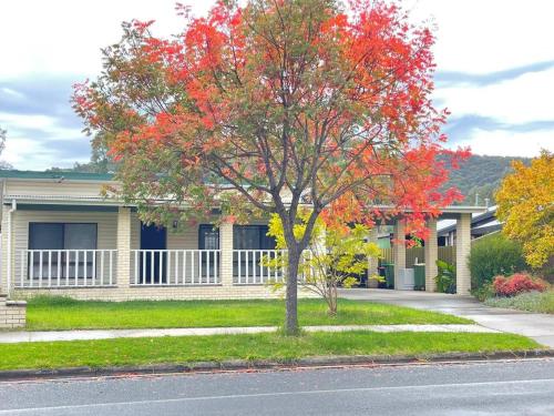 Pet friendly home in Albury — Lavington — photo 4