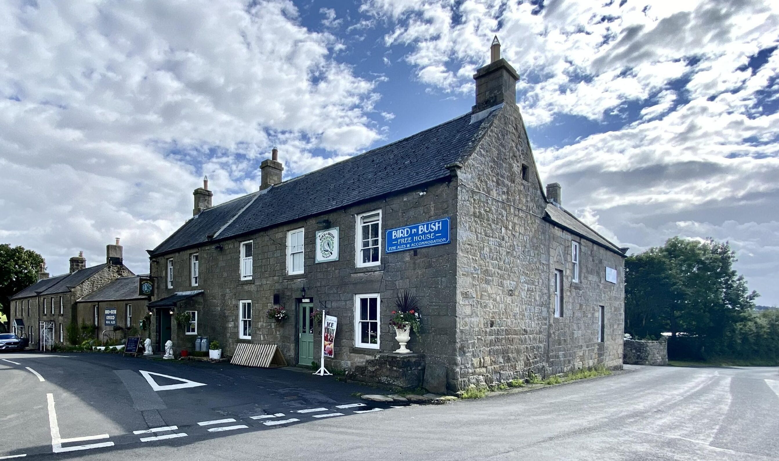 Bird In Bush Elsdon in Newcastle Upon Tyne, United Kingdom