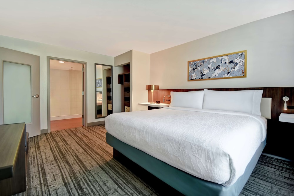 Hilton Garden Inn Houston Galleria Area - photo 8