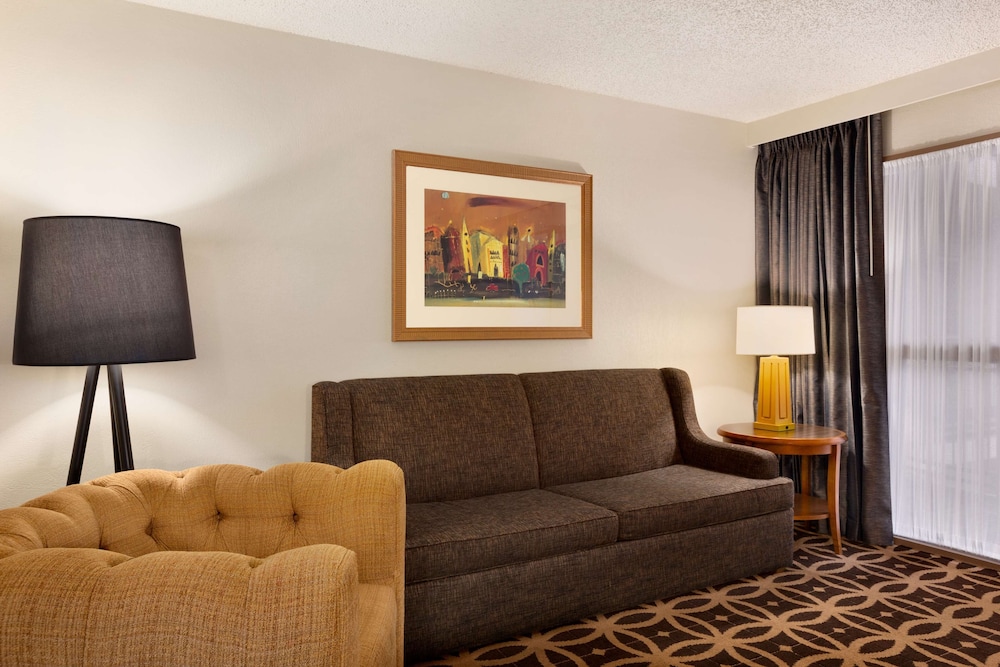 Embassy Suites by Hilton Dallas DFW Airport South - photo 14