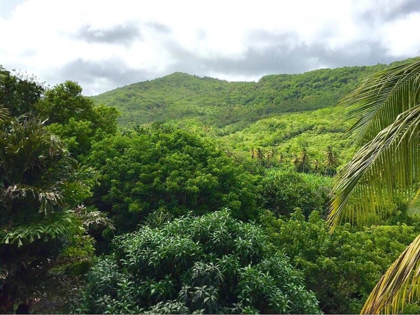 Villa Colibri — 4-Star Luxury Hotel in Praslin, Saint Lucia