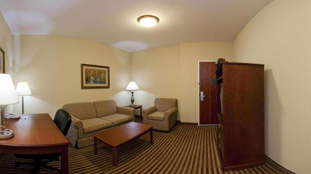 Holiday Inn Express & Suites Waxahachie by IHG - photo 21