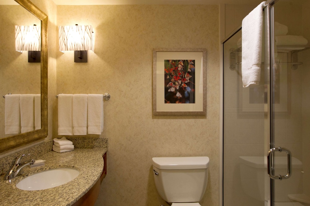 Hilton Garden Inn Cedar Falls - photo 32
