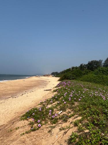 Coco inn Goa — Candolim — photo 2