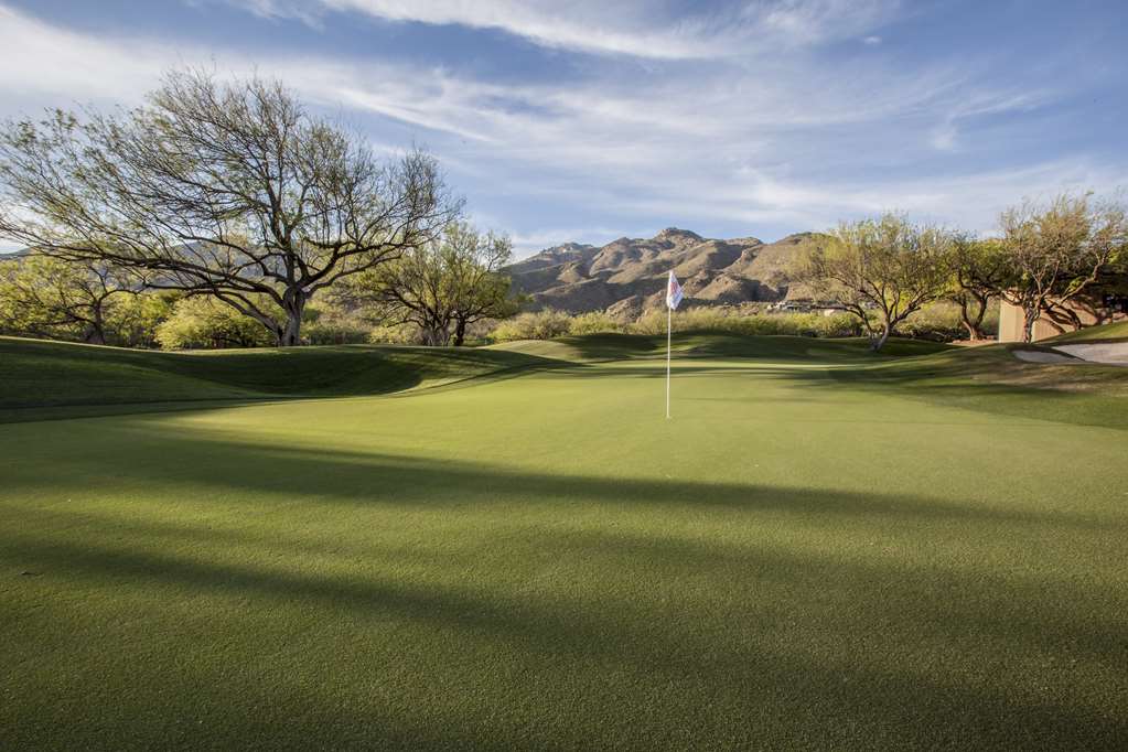 Ventana Canyon Club and Lodge - photo 23