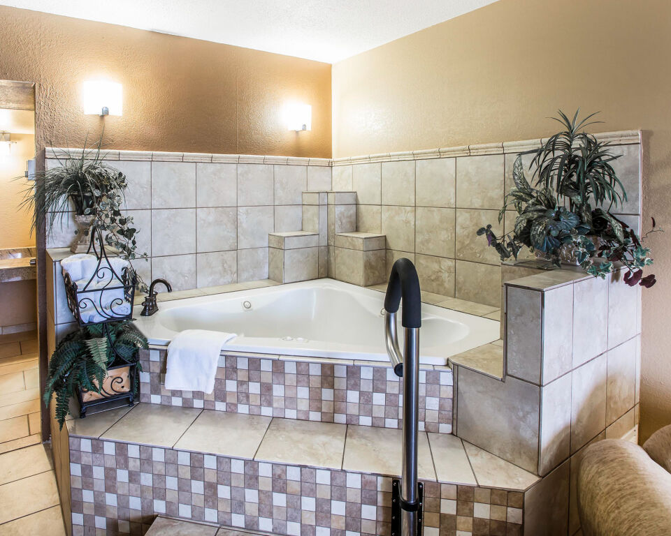 Quality Inn and Suites Denver Stapleton - photo 3