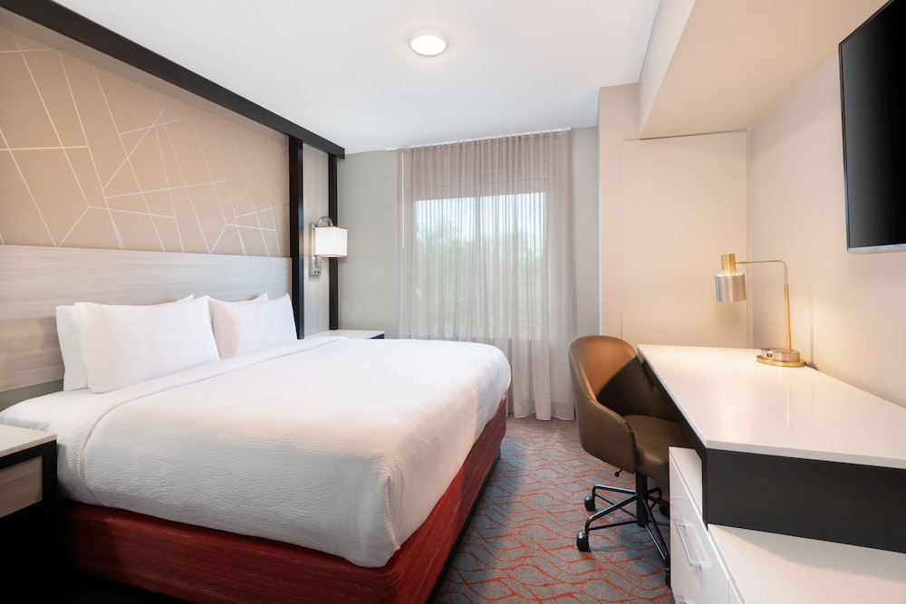 Springhill Suites By Marriott Conyers - photo 9
