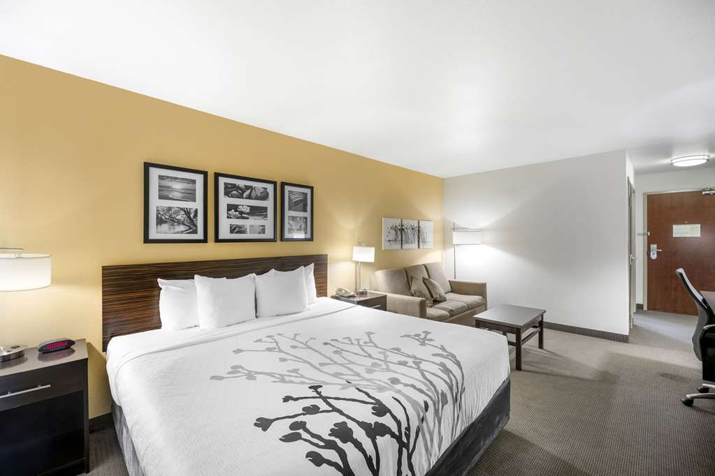 Sleep Inn & Suites Carlsbad Caverns Area - photo 22