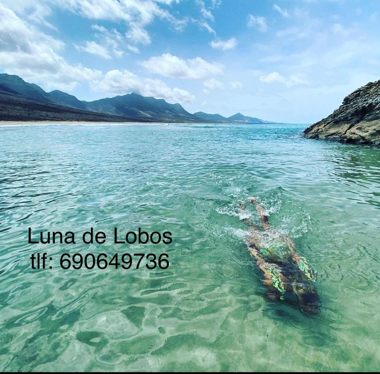 Luna de Lobos in Corralejo, Spain