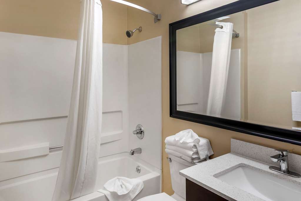 Quality Inn Overland Park Kansas City - photo 27