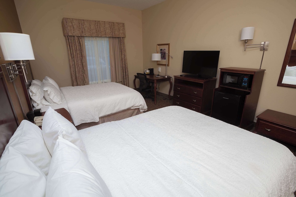 Hampton Inn Oneonta - photo 23