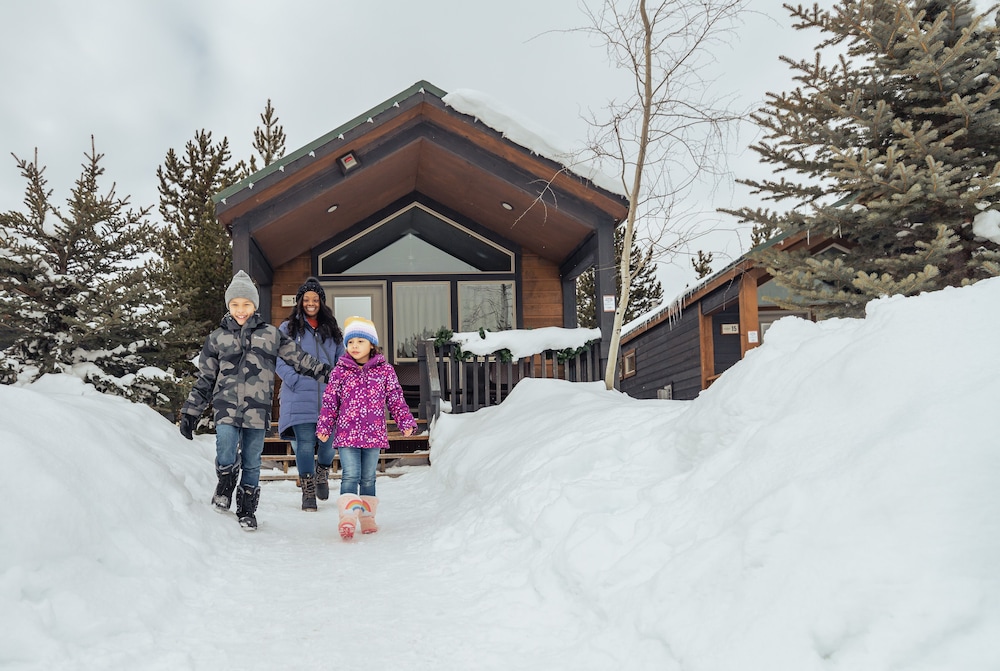 Explorer Cabins At Yellowstone - photo 64