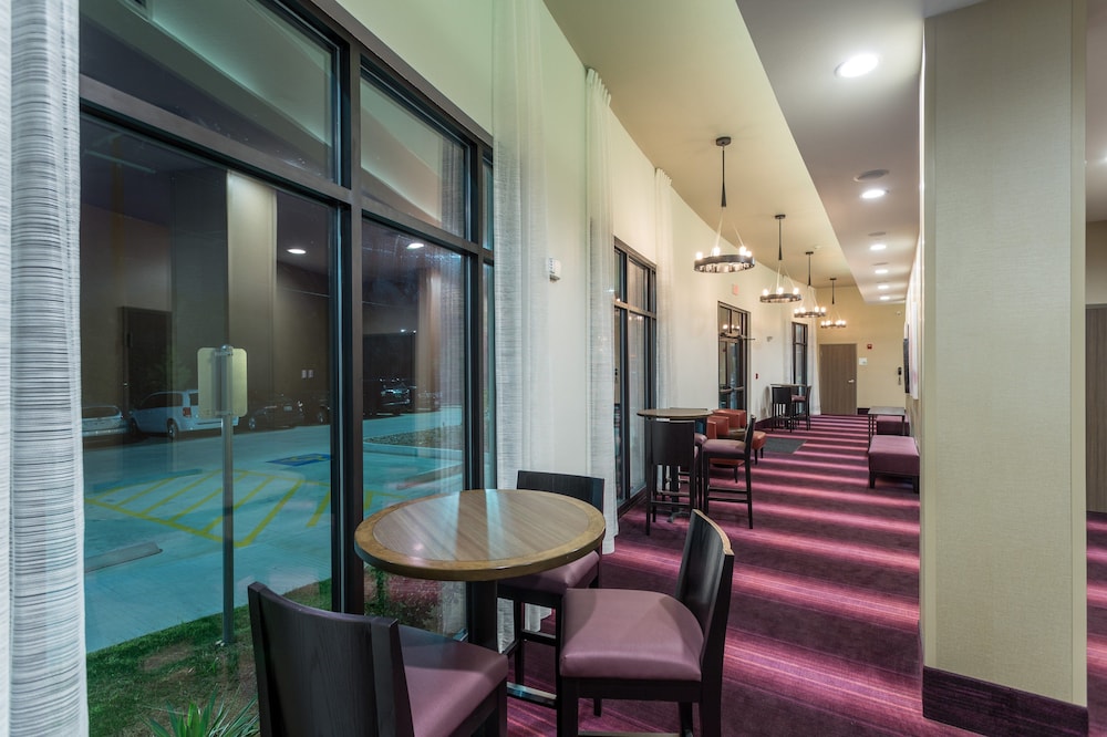 Holiday Inn San Marcos Convention CTR Area by IHG - photo 50