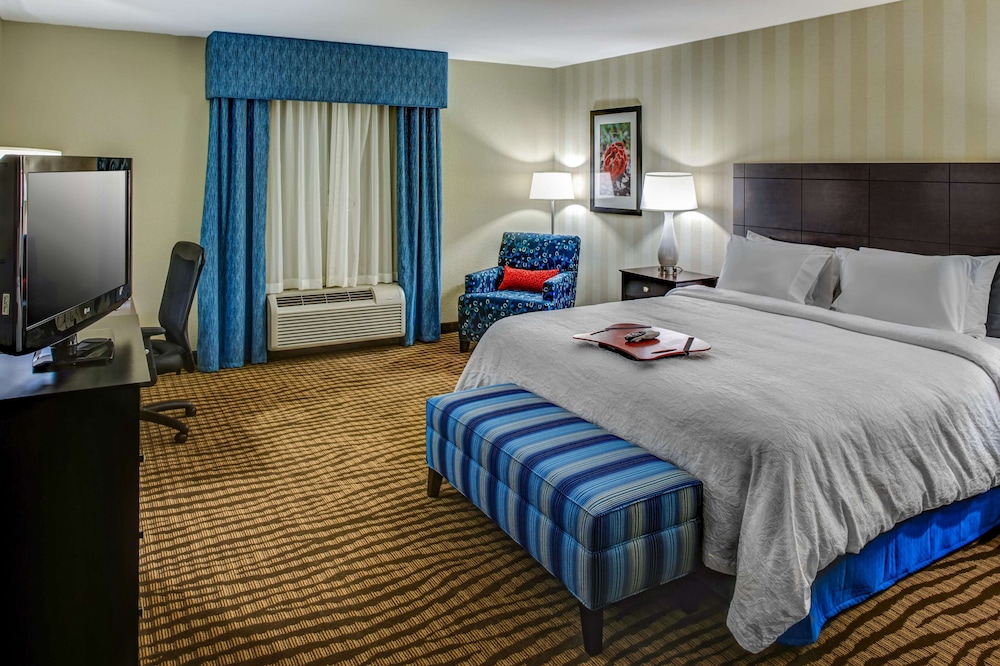 Hampton Inn Thomson - photo 14