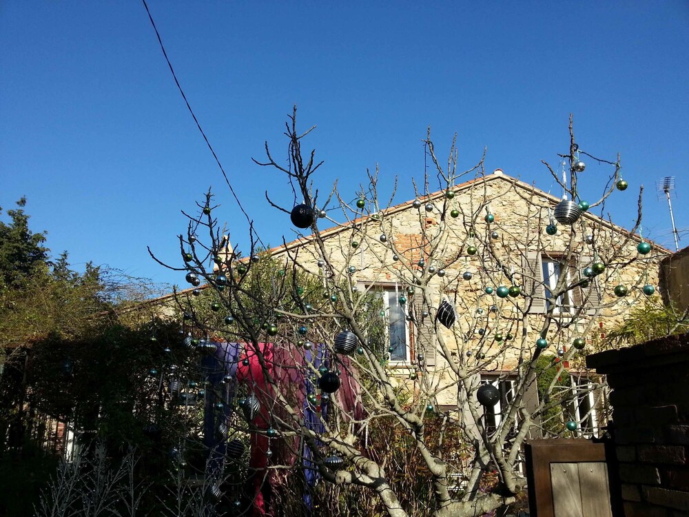 Mas De La Petite Jeanne — Grimaud