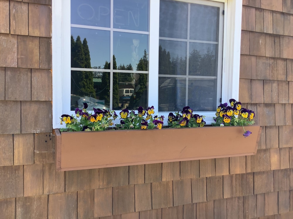 South Jetty Inn - photo 141