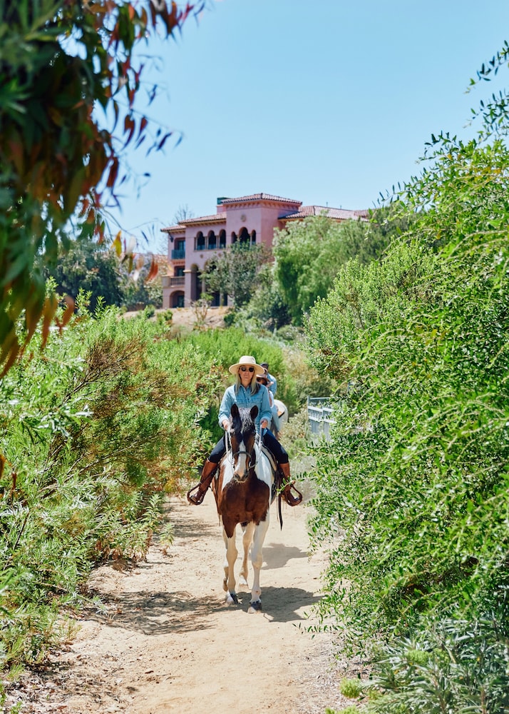 Fairmont Grand Del Mar - photo 111