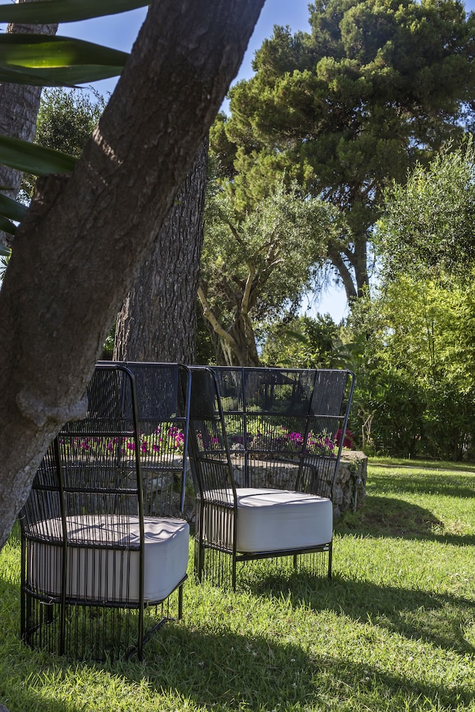 שטחי חוץ / גן