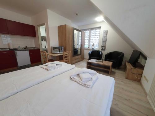 Gesundheitshaus Hohnstein - carbon neutral hotel in Hohnstein