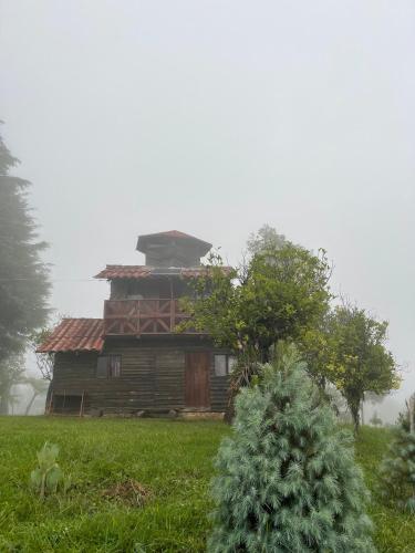 Bosque de Niebla — hotel in Tlatlauquitepec