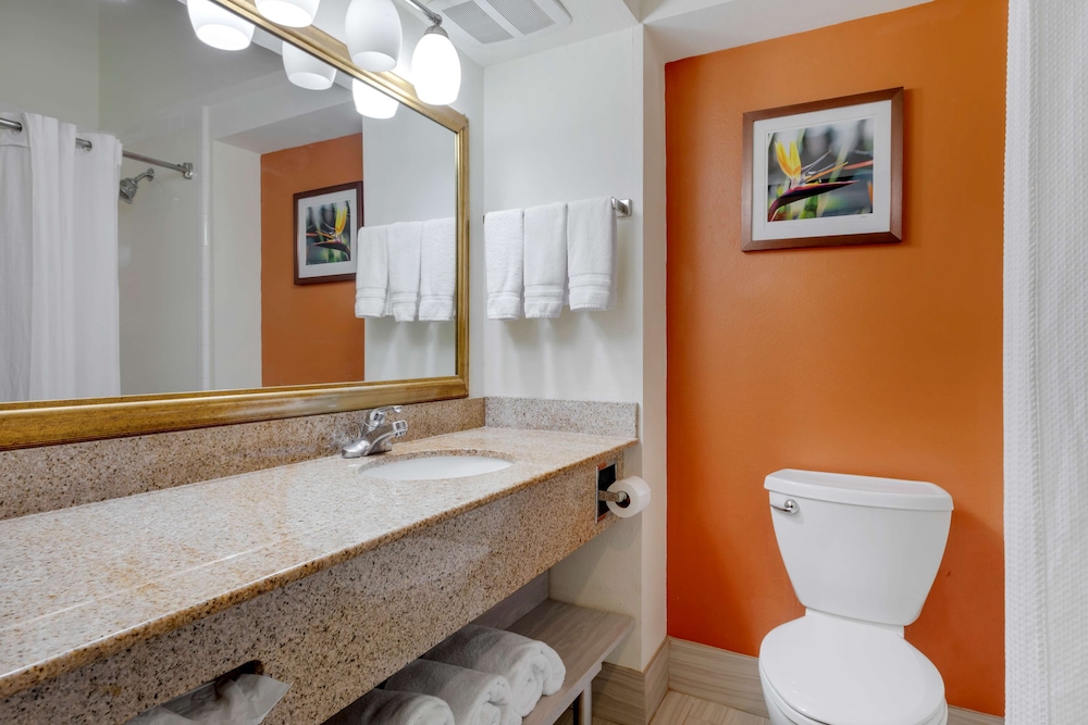 Best Western Plus Rockwall Inn & Suites - photo 27