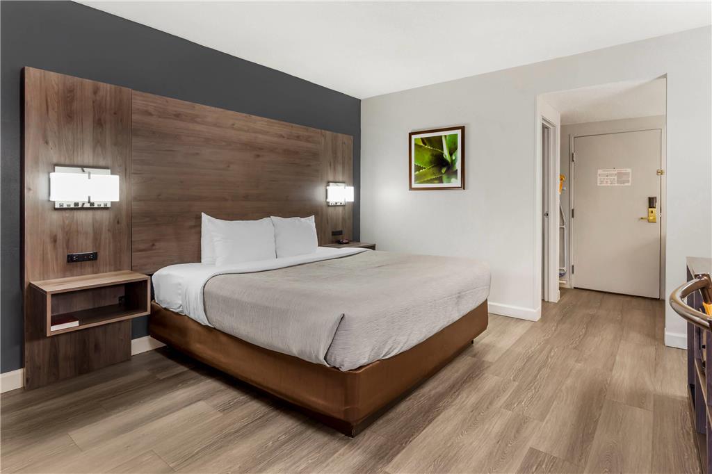 Quality Inn & Suites Raleigh Durham Airport - photo 11