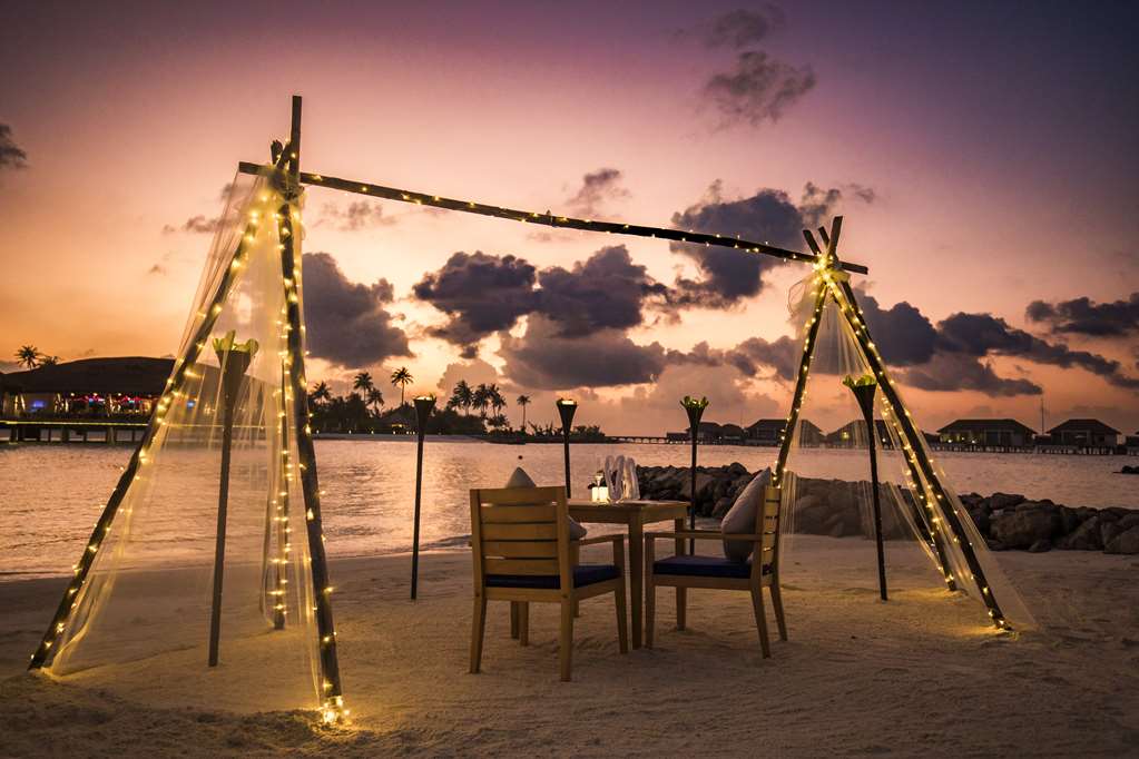 Dining by design sound of the sea